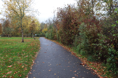 A wide, paved trail connects nearly all the amenities at the park